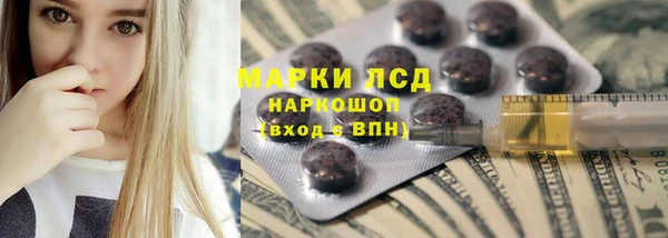 стафф Богданович