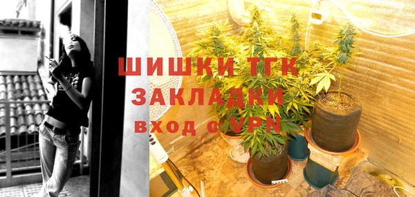 стафф Богданович