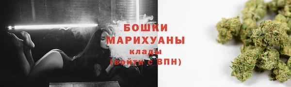 стафф Богданович