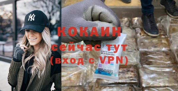 стафф Богданович
